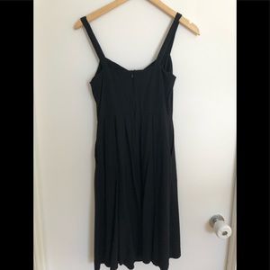 Black dress Birds of North America